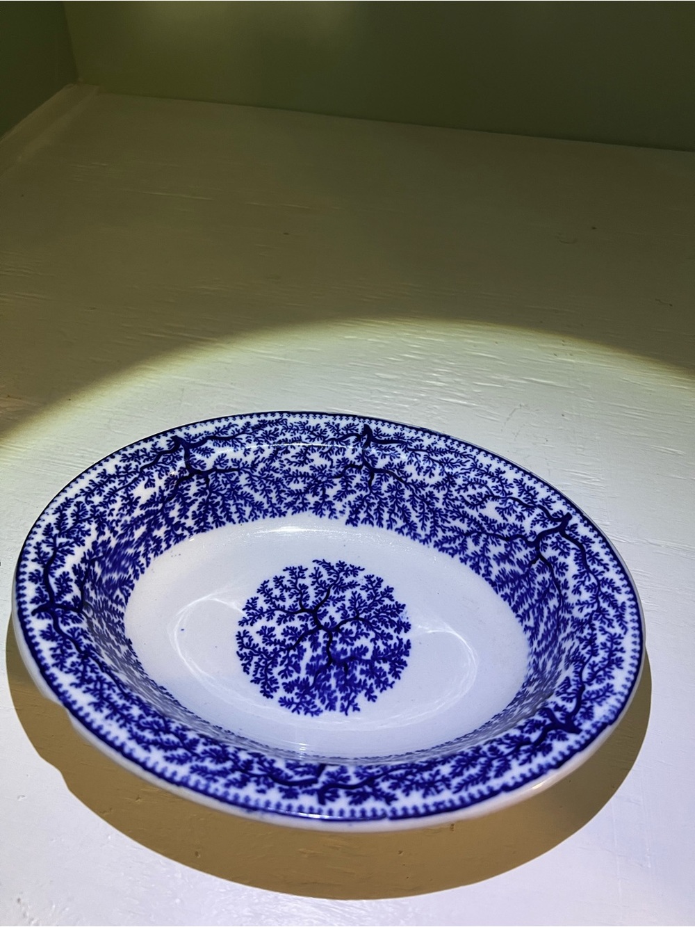 Antique flow blue oval serving bowl in the rare "Fibre" Pattern Vintage